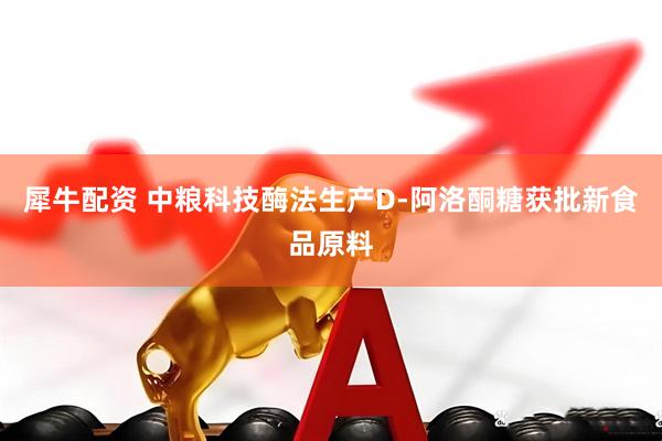 犀牛配资 中粮科技酶法生产D-阿洛酮糖获批新食品原料