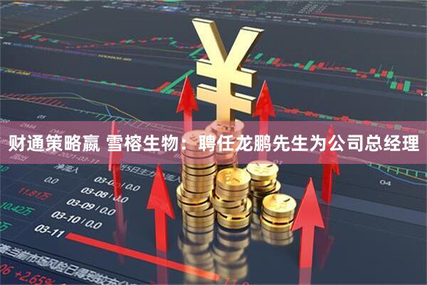 财通策略嬴 雪榕生物：聘任龙鹏先生为公司总经理