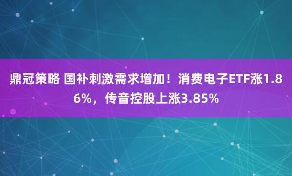 鼎冠策略 国补刺激需求增加！消费电子ETF涨1.86%，传音控股上涨3.85%