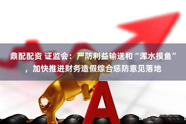 鼎配配资 证监会：严防利益输送和“浑水摸鱼”，加快推进财务造假综合惩防意见落地