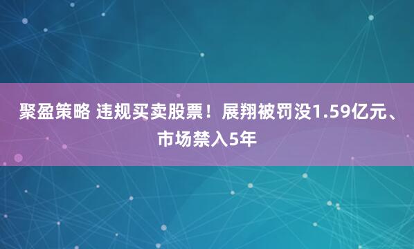 聚盈策略 违规买卖股票！展翔被罚没1.59亿元、市场禁入5年