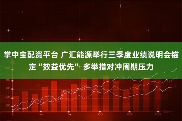 掌中宝配资平台 广汇能源举行三季度业绩说明会锚定“效益优先” 多举措对冲周期压力